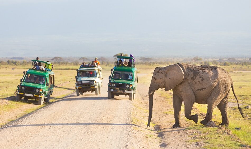 5 Days Tanzania Lodge Safari With Serengeti