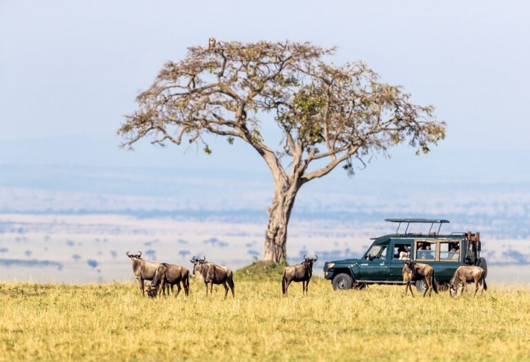 6 Days Tanzania Lodge Safari With Serengeti