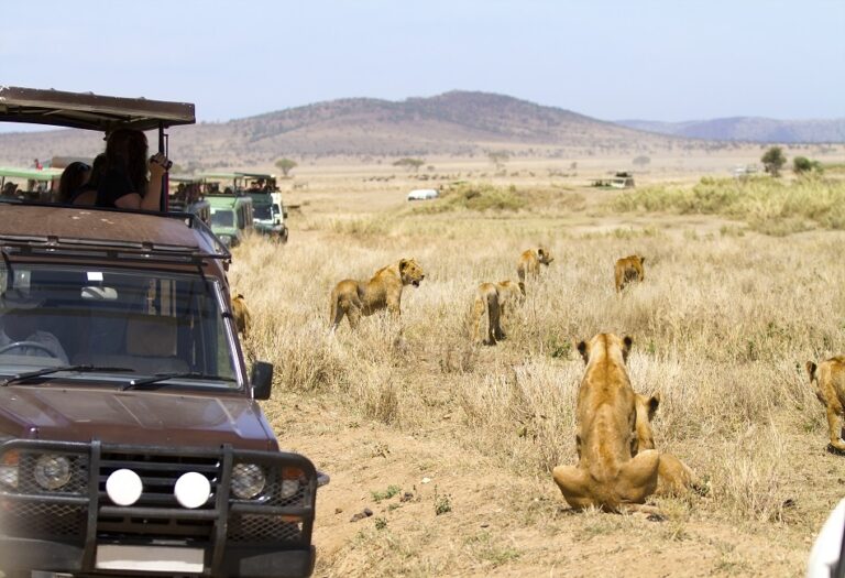 3-Day Tarangire, Ngorongoro and Lake Eyasi