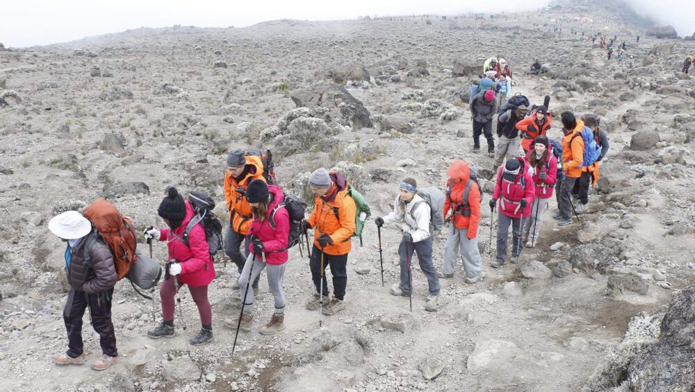 kilimanjaro climbing via lemosho route