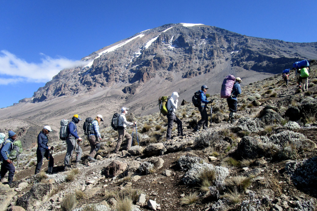 8 Day Kilimanjaro Trekking Tour Via Lemosho Route - Serengeti African Tours