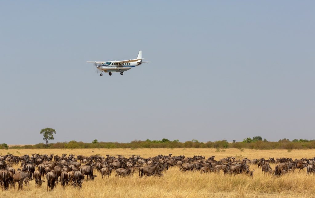 5-Day Tarangire, Ngorongoro & Zanzibar Bliss & Flights