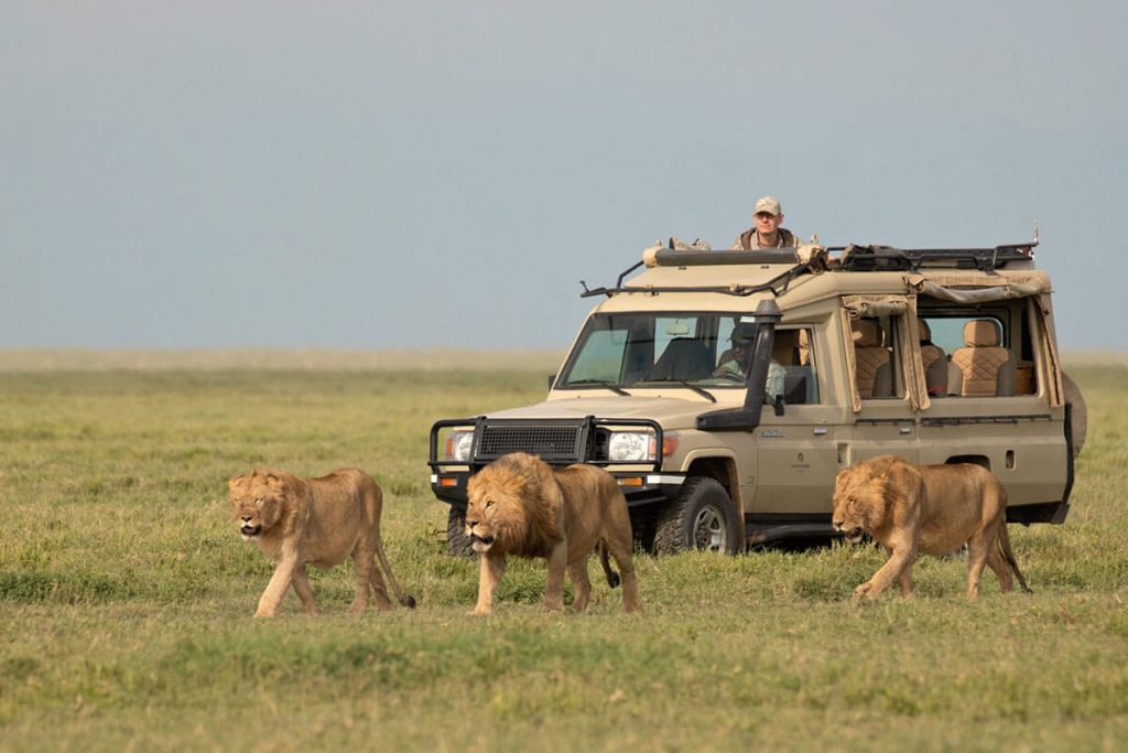 3 Days Tanzania Safaris, Waterfalls And Coffee Tour
