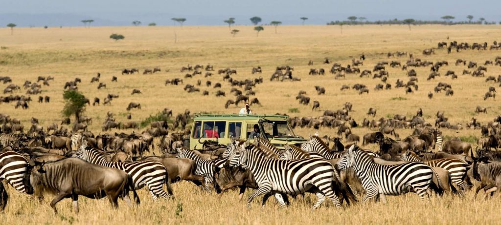 5 Days Perfect Family Getaway Tour To Tanzania-Midrange Lodge