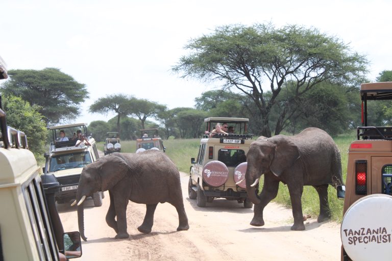 3 Days  Fly-In & Out Ngorongoro and Materuni waterfalls Coffee Tour