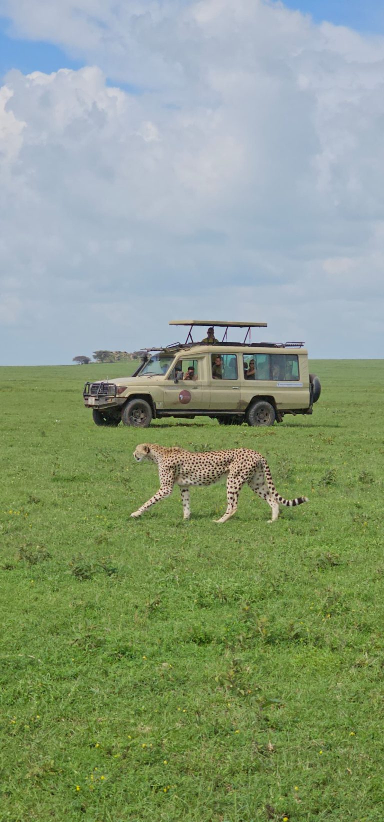 4 Days Serengeti Tanzania Safaris- Midrange Lodge