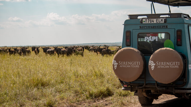 6 Days Highlights Of Africa Vacation Tour Package Tanzania