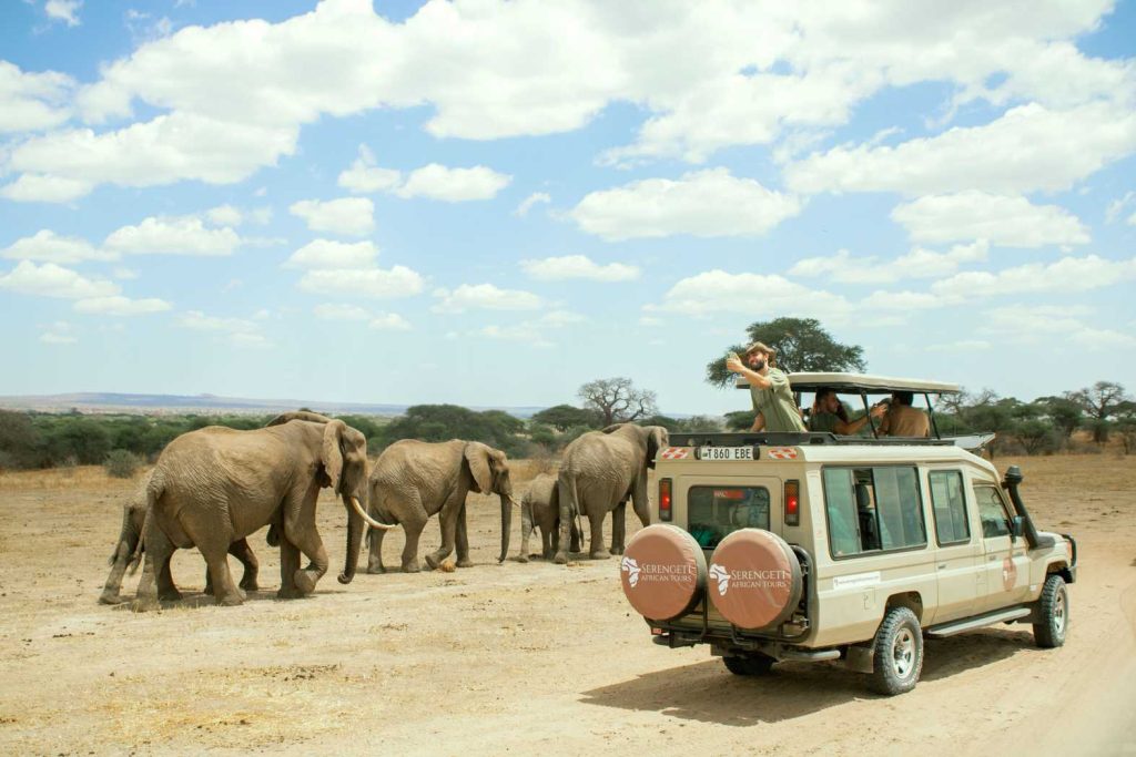 4 Days Serengeti Tanzania Safaris