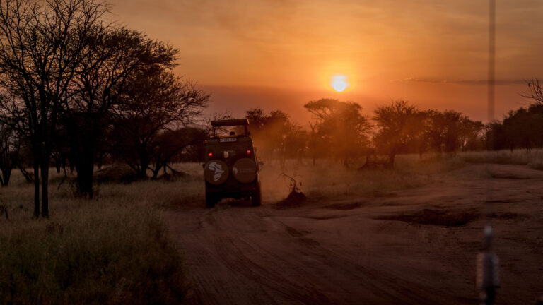 2-Day Fly-in Zanzibar to Mikumi National Park Safari