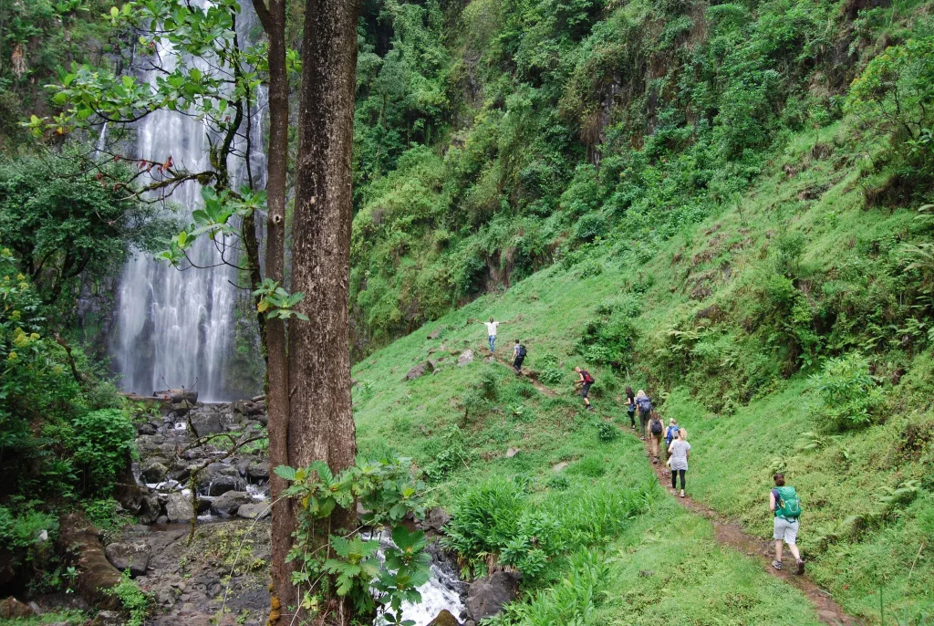 4-Day Serengeti, Ngorongoro and Waterfalls Private Tour
