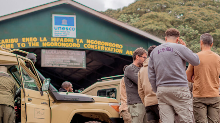 1-Day Tout to Ngorongoro Crater