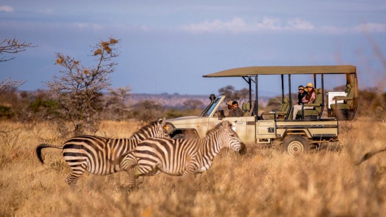 Fly- in Private Zanzibar to Mikumi National Park(day trip)