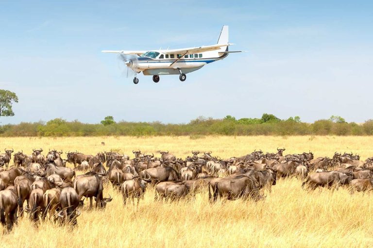 2-Day Fly in & out Magic Serengeti Safari from Zanzibar