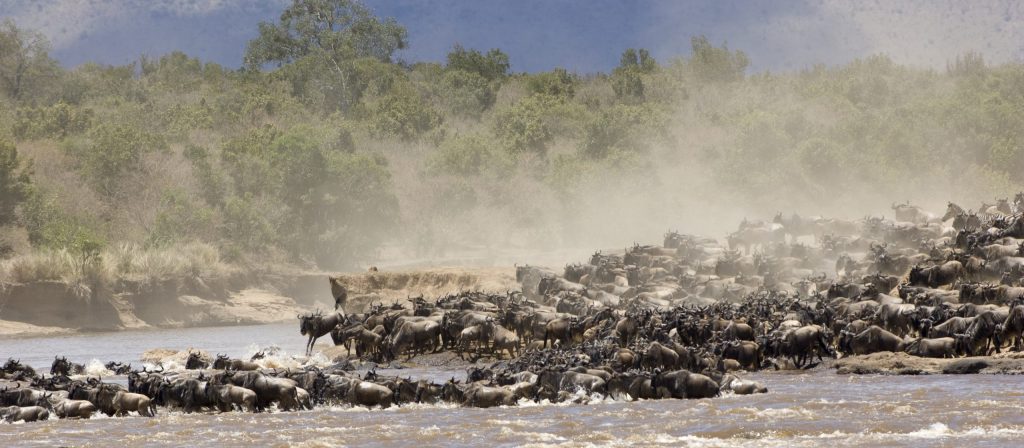 7-Day Ultimate Great Migration Fly-out Safari