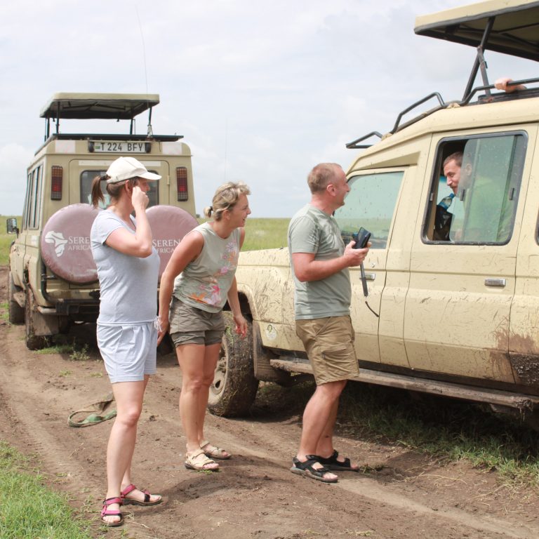 Best Time to Visit Tanzania for an Unforgettable Safari with Serengeti African Tours