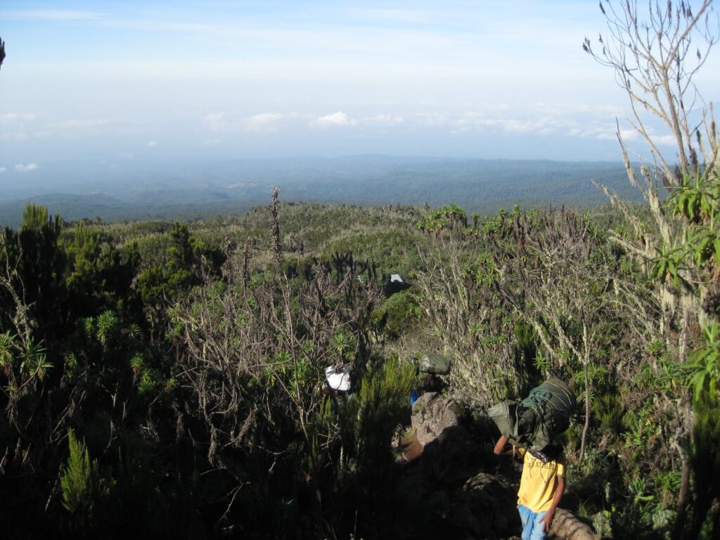 6-Day Striking Kilimanjaro via Marangu Route