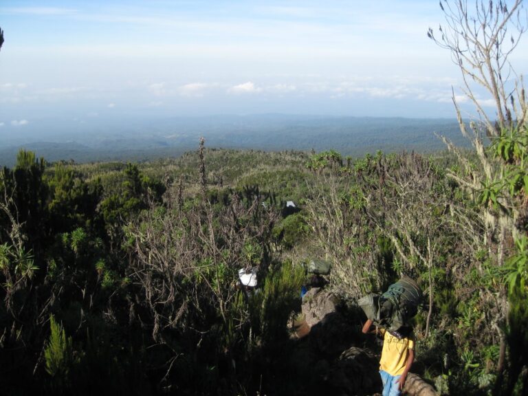 6-Day Striking Kilimanjaro via Marangu Route