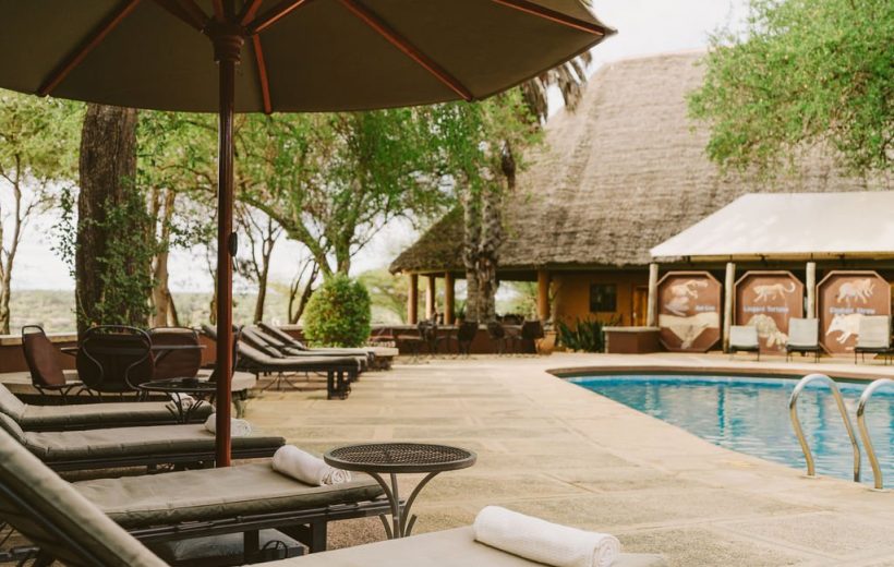 Top 5 Eco-Lodges for a Sustainable Safari in Tanzania