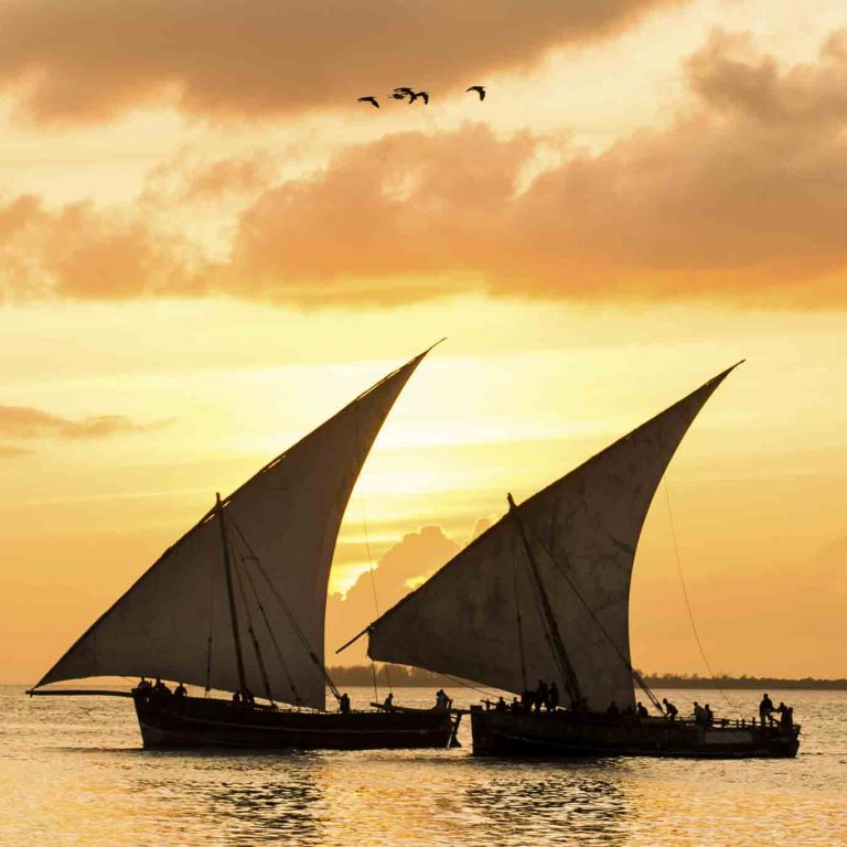 Sailing on a Traditional Dhow in the Indian Ocean