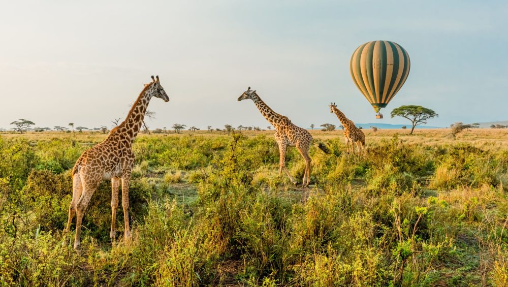 Hot Air Balloon Easy Travel Tanzania scaled 1