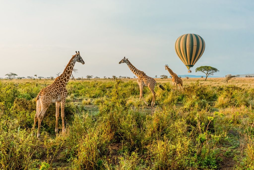 Hot Air Balloon Easy Travel Tanzania scaled 1