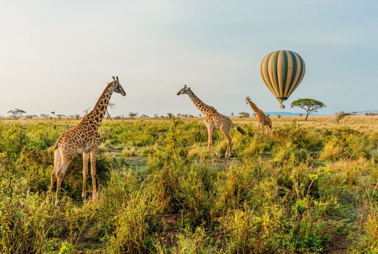 4-Day Serengeti National Park with Hot-Air Balloon