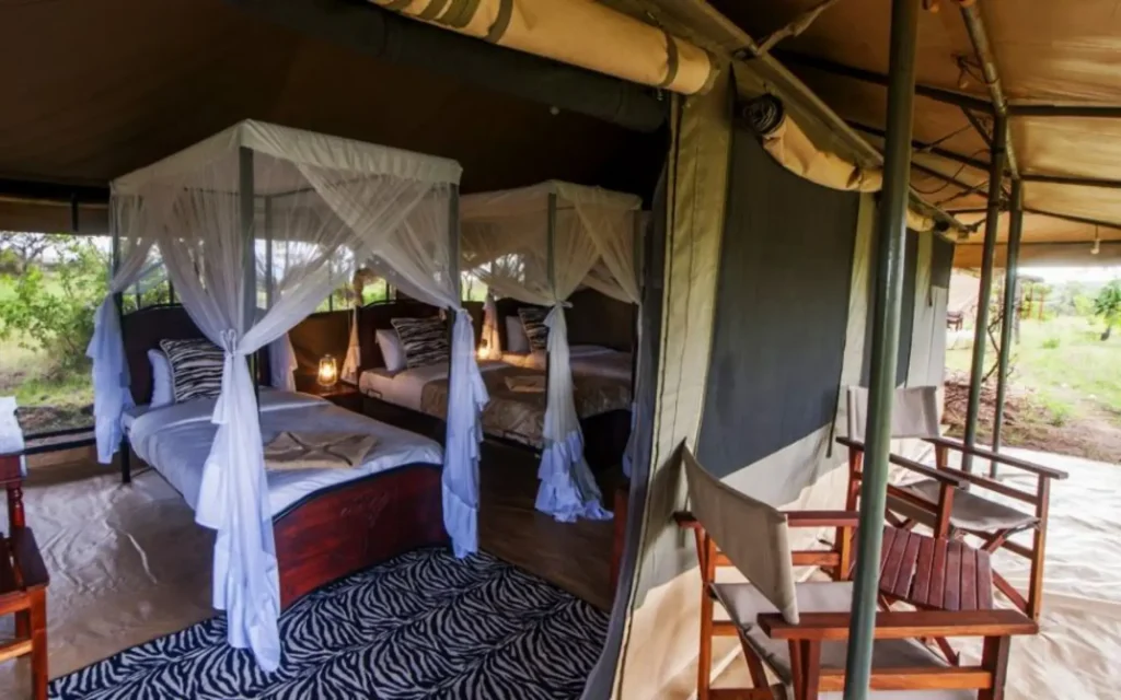 Hotels on Safari in Tanzania with Brilliant Adventures Acacia Migration Camp 3