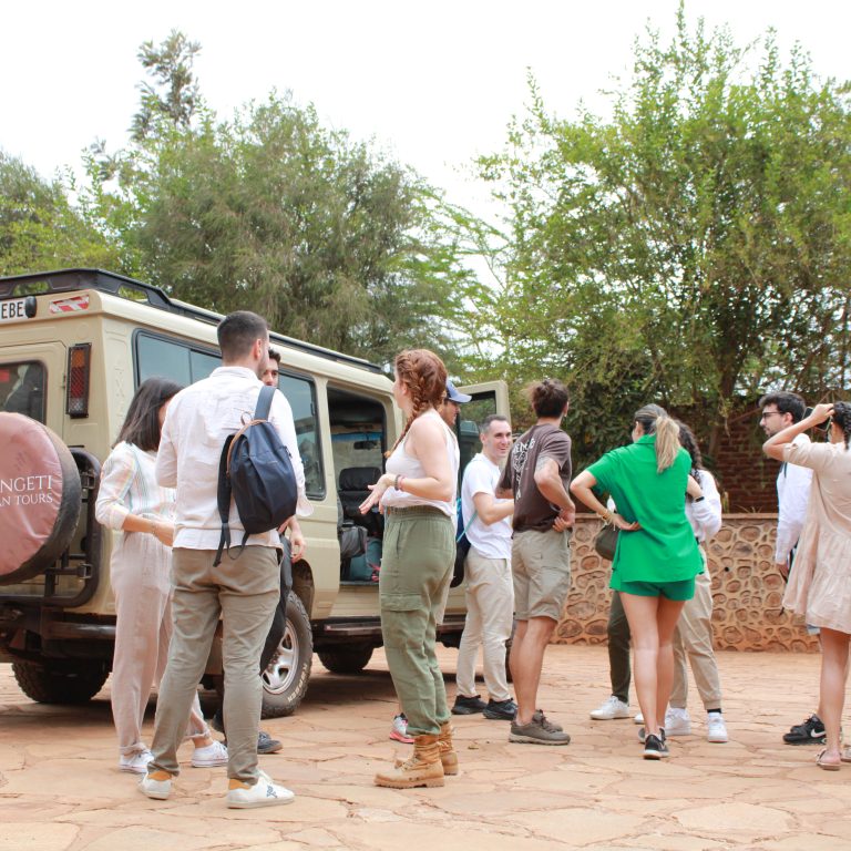 Private Safari vs. Group Safari: Which One Should You Choose?