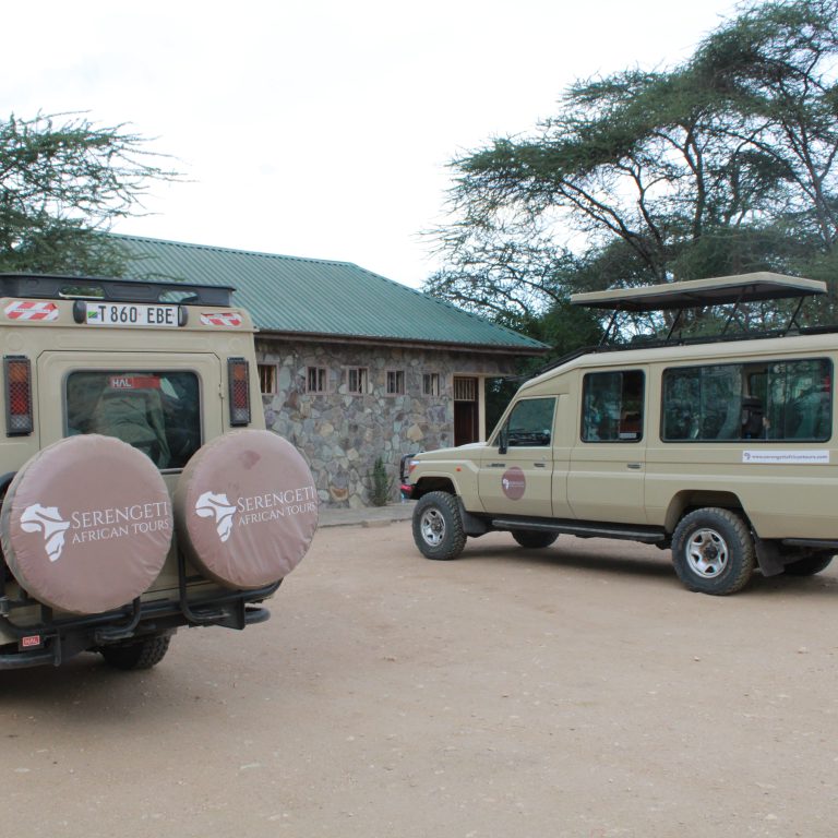 Flying vs. Driving Between Safari Parks: Pros & Cons