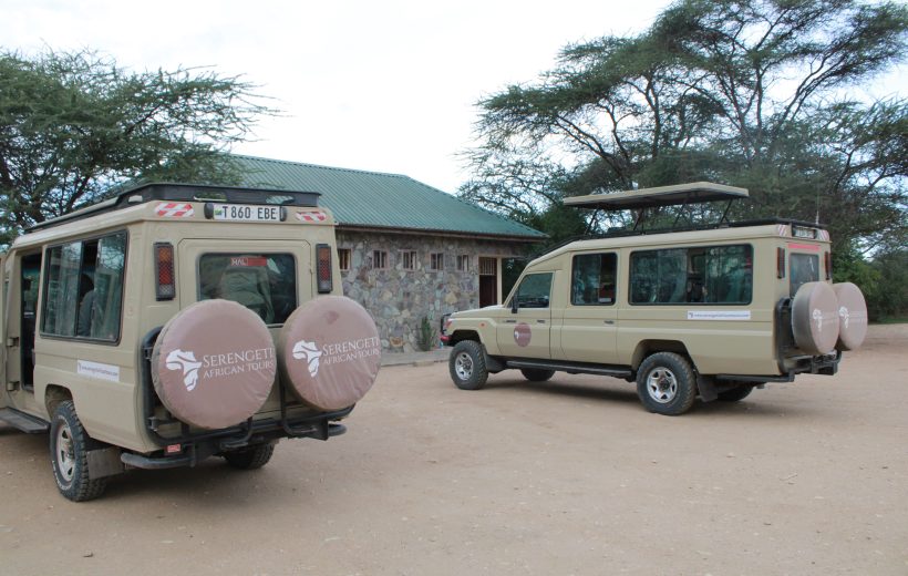 Flying vs. Driving Between Safari Parks: Pros & Cons