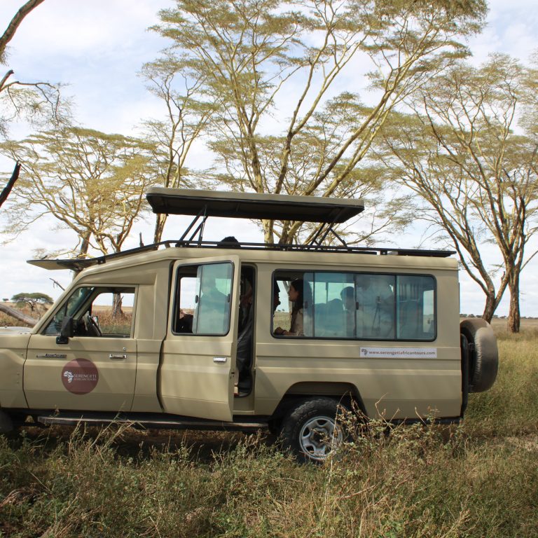 Birdwatching Safari vs. Traditional Game Drives: Which is Best for You?