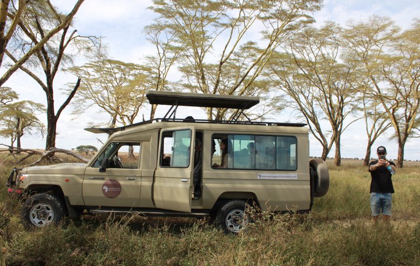 Birdwatching Safari vs. Traditional Game Drives: Which is Best for You?