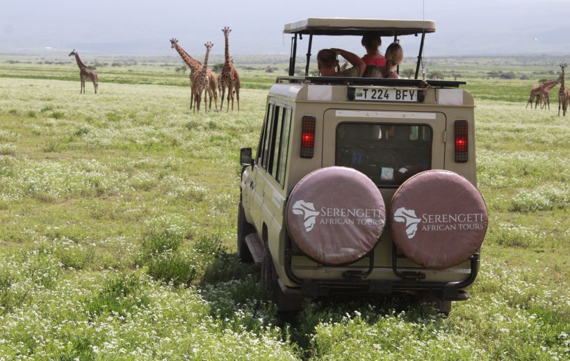 Best Safari Apps to Enhance Your Wildlife Experience