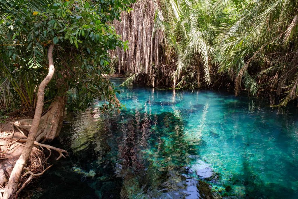 Kikuletwa Springs Maji Moto Rundugai Tanzania