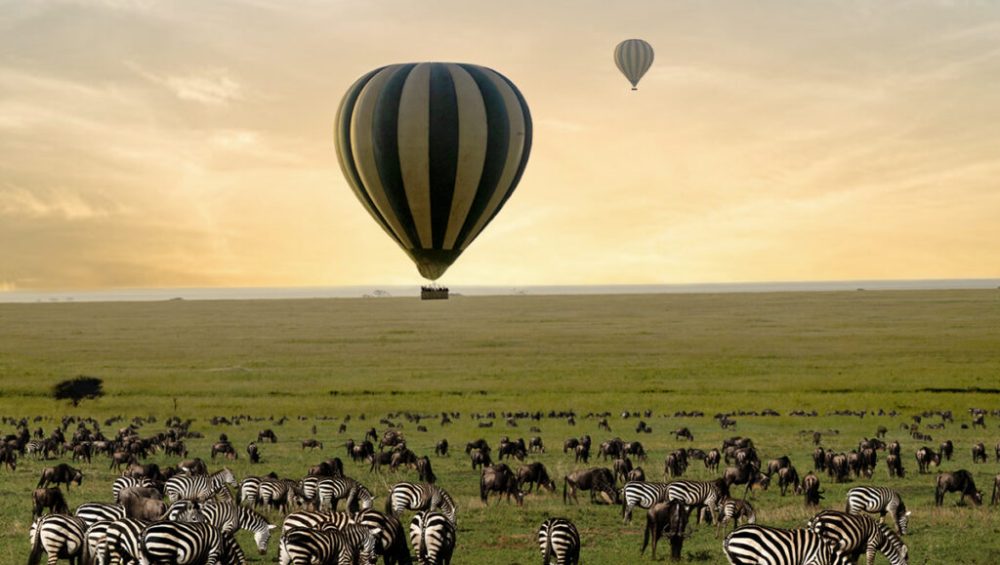 ONH Balloon Safari