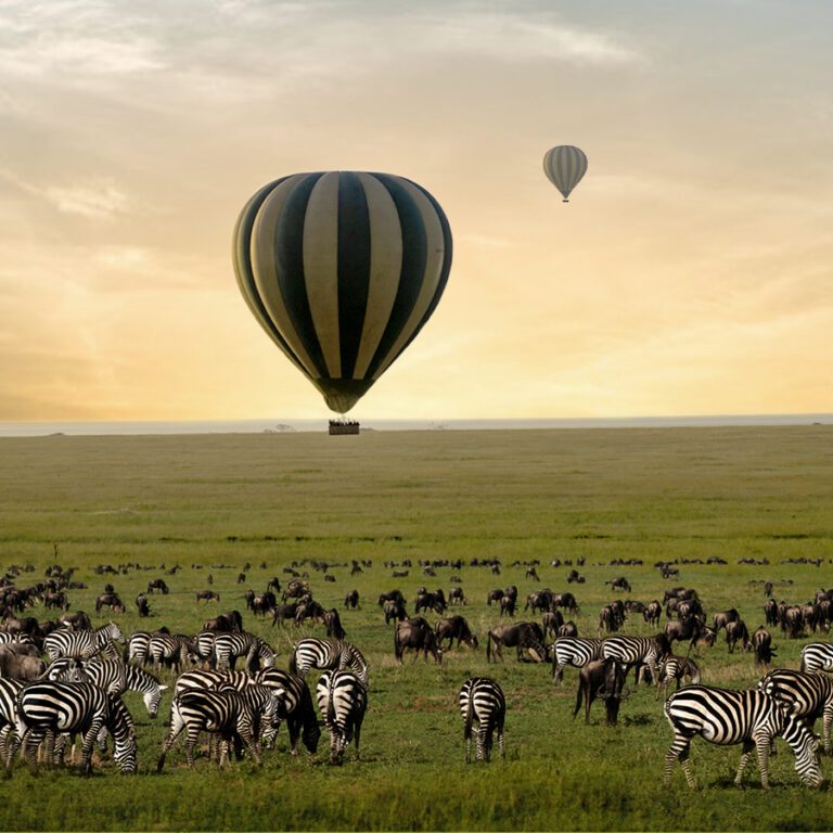 Serengeti Balloon Safari: A Once-in-a-Lifetime Adventure