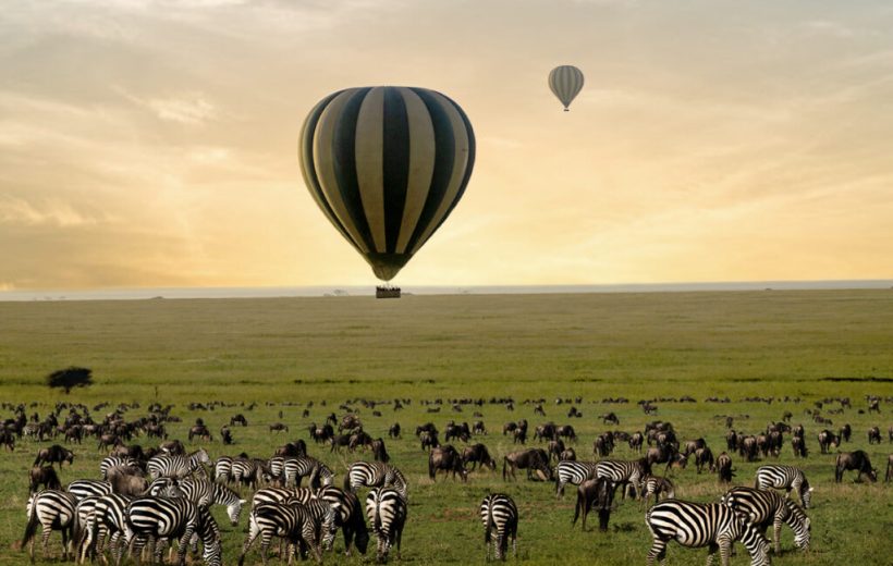 Serengeti Balloon Safari: A Once-in-a-Lifetime Adventure