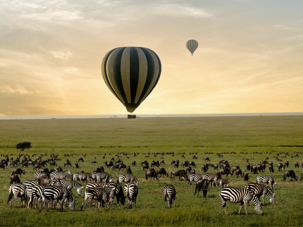 Serengeti Balloon Safari: A Once-in-a-Lifetime Adventure