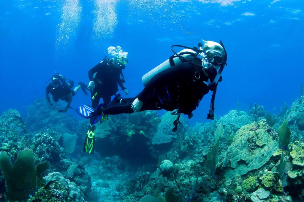 Scuba Diving in Mafia Island