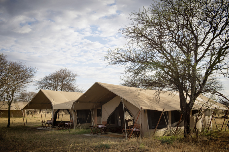 Serengeti Safari Camp family tent exterior 1