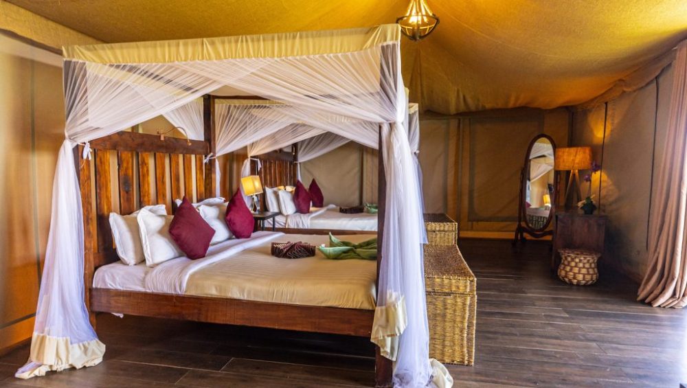 Serengeti Safari Lodge14 1024x683 1