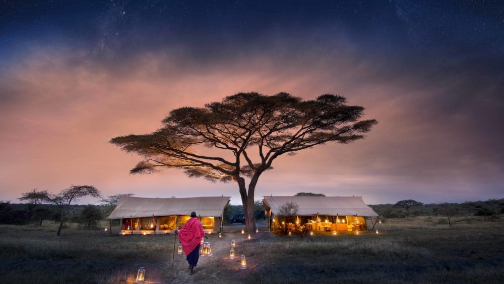 Serengeti nights