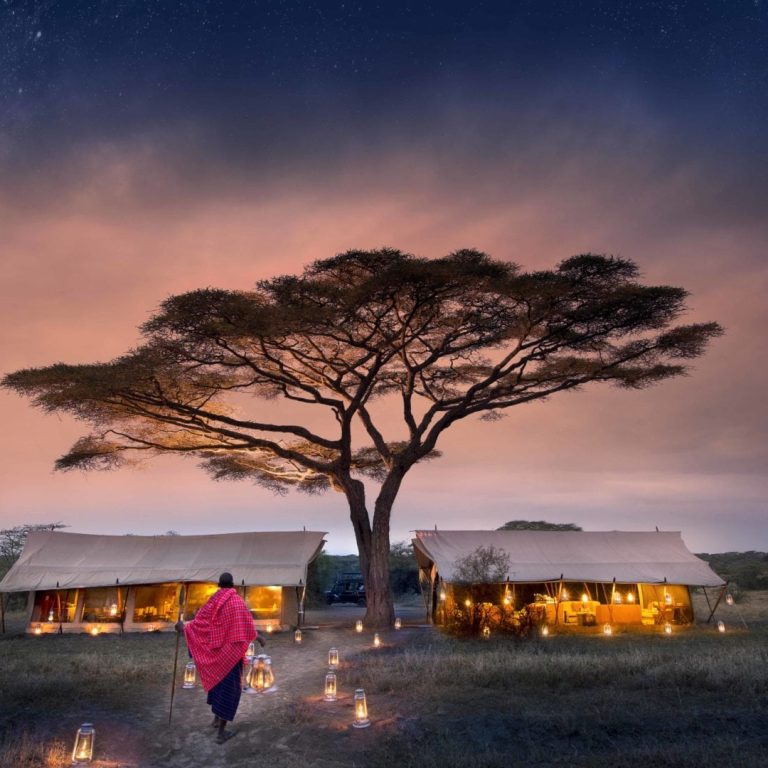 Stargazing in the Serengeti: The Best Nighttime Safari Experiences