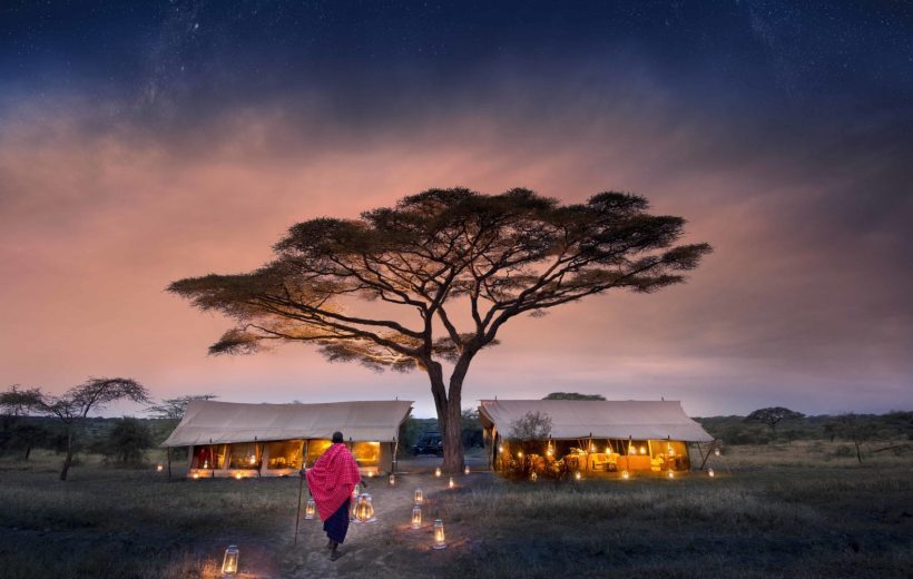 Stargazing in the Serengeti: The Best Nighttime Safari Experiences