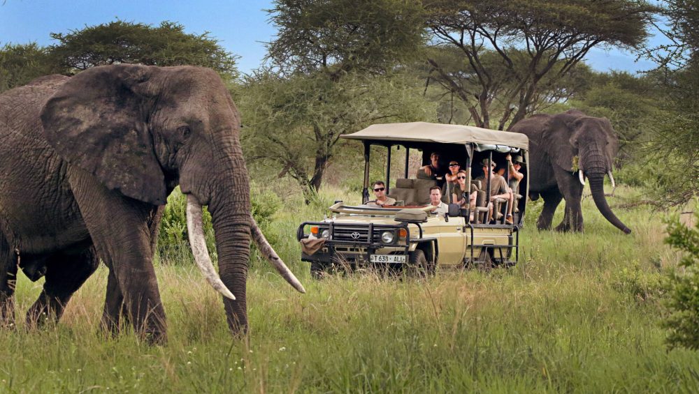 Tanzania Tour