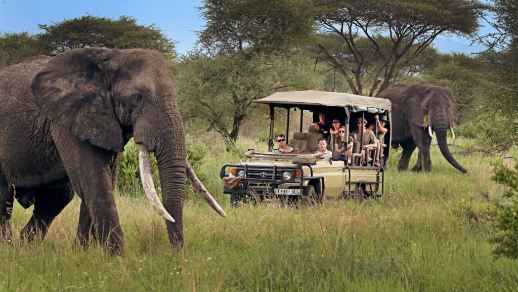 Tanzania Tour