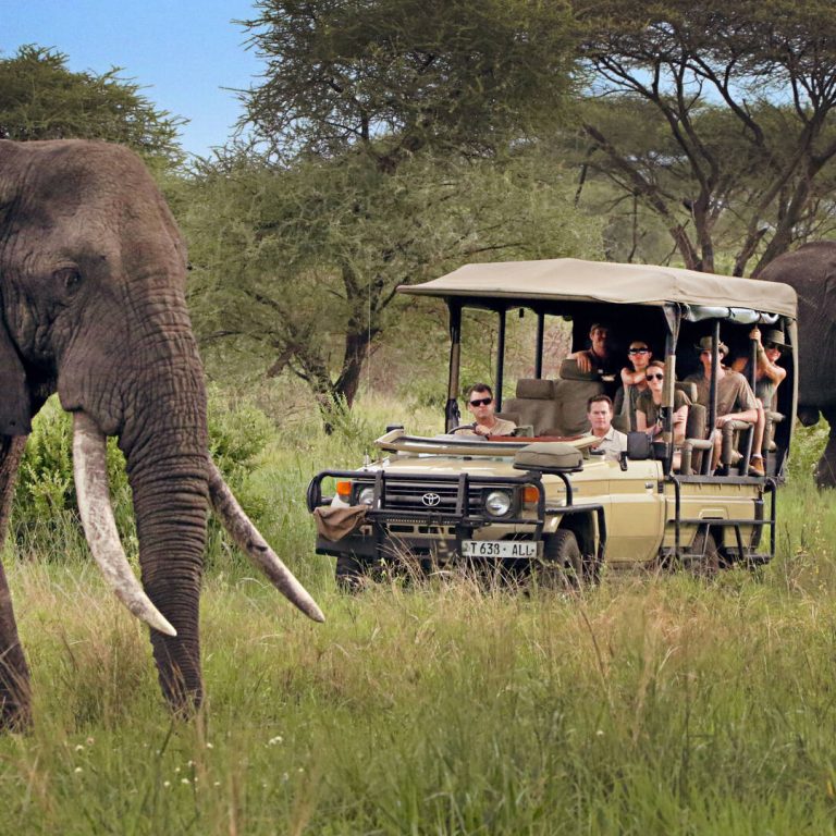 Game Drive Etiquette: Do’s and Don’ts for a Respectful Safari