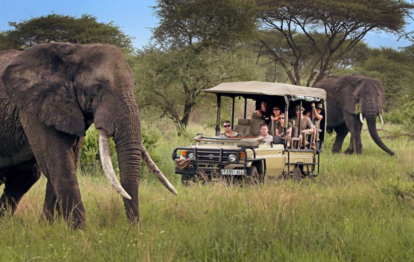 Game Drive Etiquette: Do’s and Don’ts for a Respectful Safari