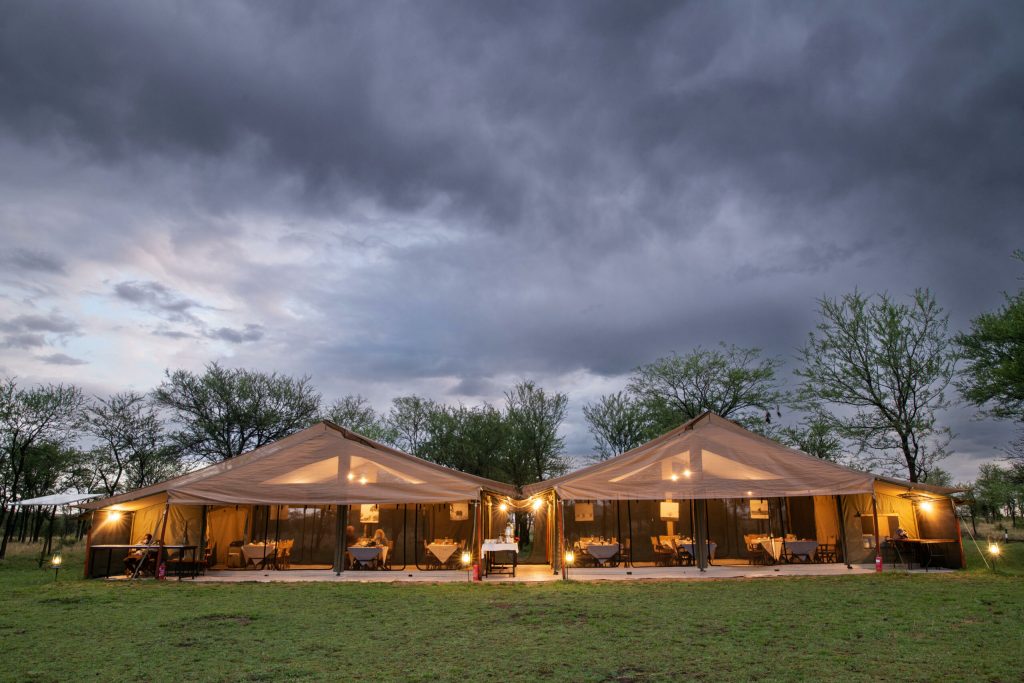 Luxury Safaris