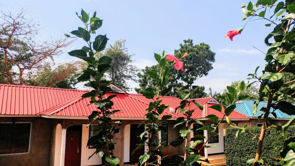 acacia tree apartments